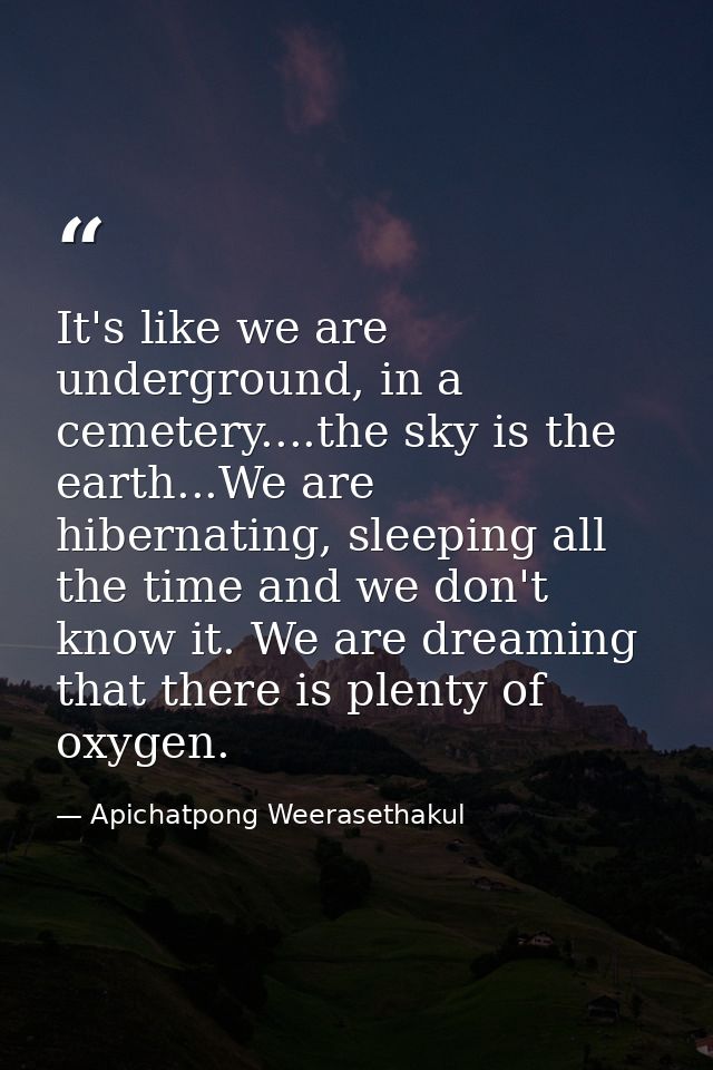 It's like we are underground, in a cemetery....the sky is the earth...We are hibernating, sleeping all the time and we d — Apichatpong Weerasethakul