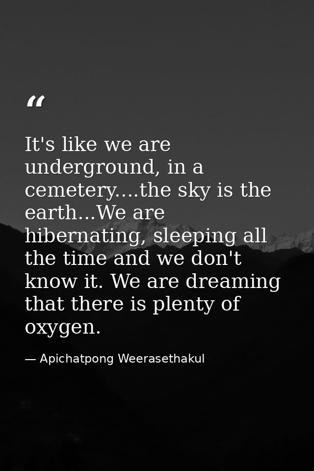 It's like we are underground, in a cemetery....the sky is the earth...We are hibernating, sleeping all the time and we d — Apichatpong Weerasethakul