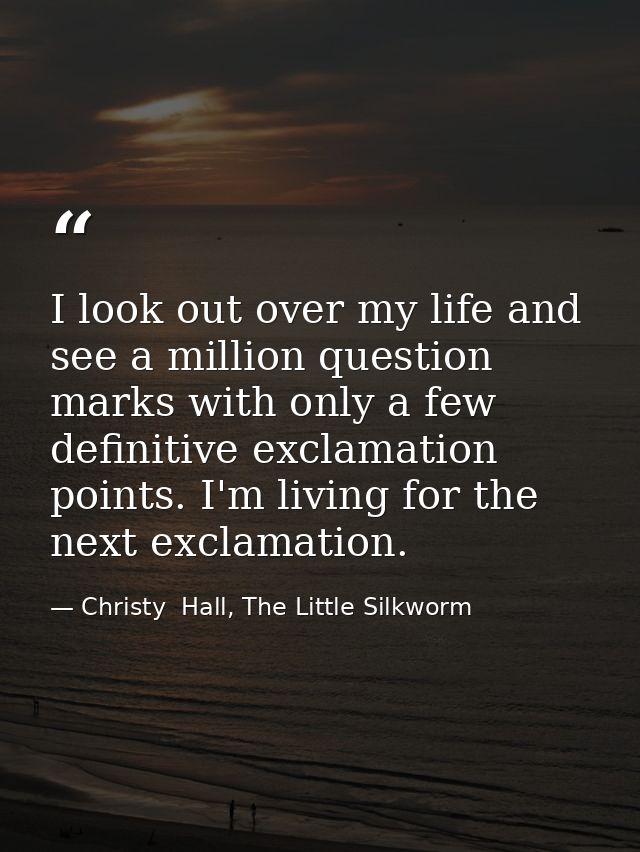 I look out over my life and see a million question marks with only a few definitive exclamation points. I'm living for t — Christy  Hall, The Little Silkworm