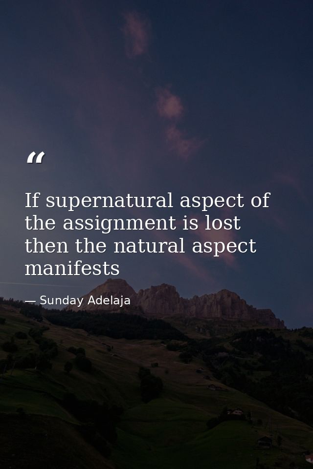 If supernatural aspect of the assignment is lost then the natural aspect manifests — Sunday Adelaja
