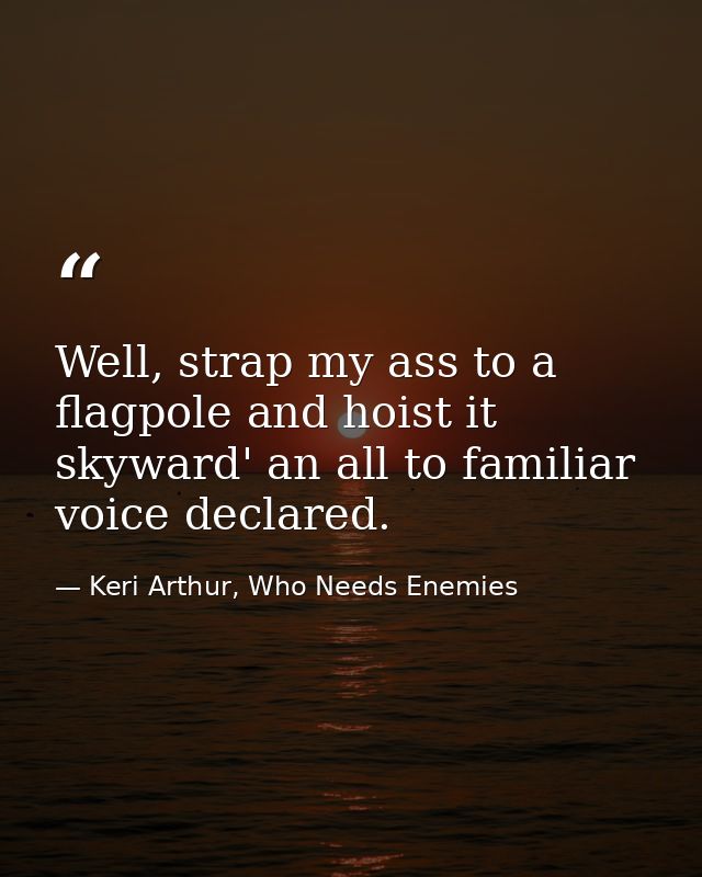 Well, strap my ass to a flagpole and hoist it skyward' an all to familiar voice declared. — Keri Arthur, Who Needs Enemies