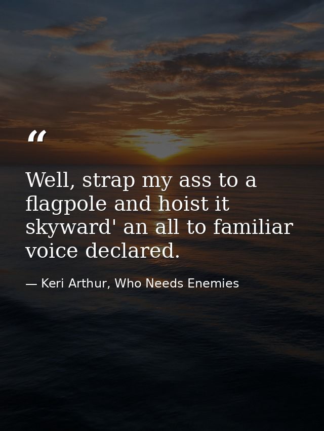 Well, strap my ass to a flagpole and hoist it skyward' an all to familiar voice declared. — Keri Arthur, Who Needs Enemies