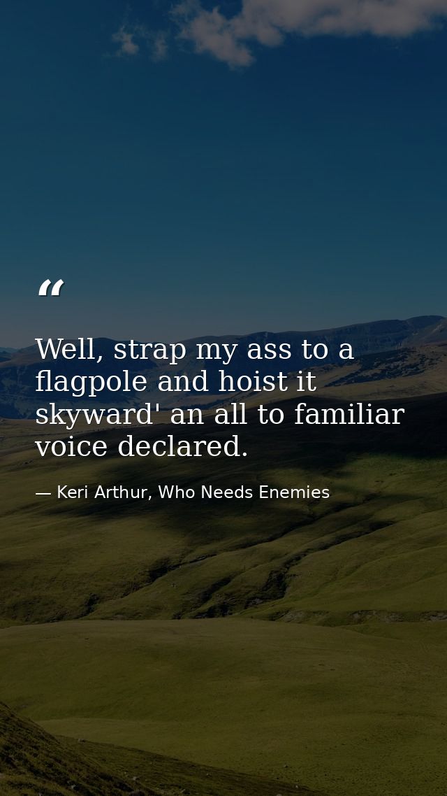 Well, strap my ass to a flagpole and hoist it skyward' an all to familiar voice declared. — Keri Arthur, Who Needs Enemies