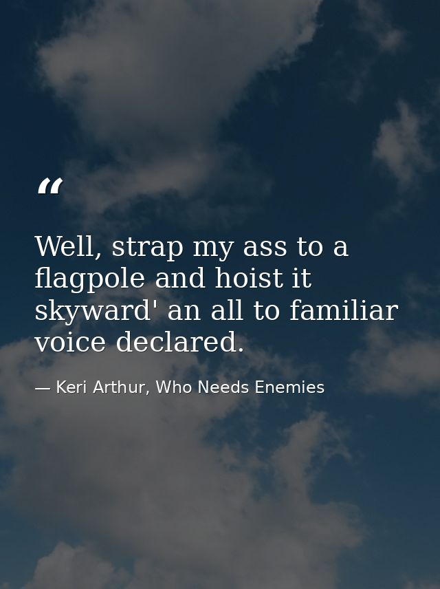 Well, strap my ass to a flagpole and hoist it skyward' an all to familiar voice declared. — Keri Arthur, Who Needs Enemies