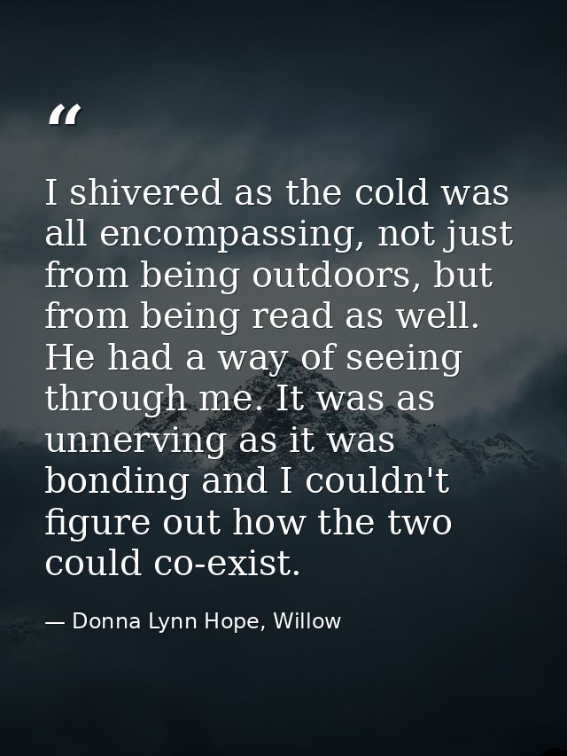 I shivered as the cold was all encompassing, not just from being outdoors, but from being read as well. He had a way of  — Donna Lynn Hope, Willow