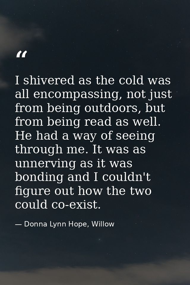 I shivered as the cold was all encompassing, not just from being outdoors, but from being read as well. He had a way of  — Donna Lynn Hope, Willow