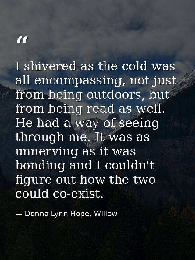 I shivered as the cold was all encompassing, not just from being outdoors, but from being read as well. He had a way of  — Donna Lynn Hope, Willow