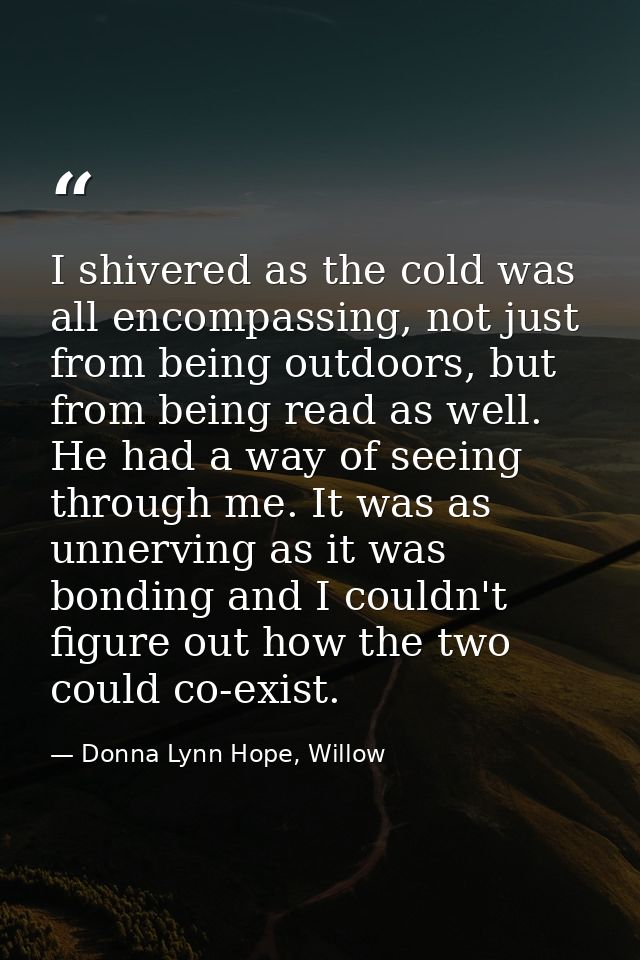 I shivered as the cold was all encompassing, not just from being outdoors, but from being read as well. He had a way of  — Donna Lynn Hope, Willow