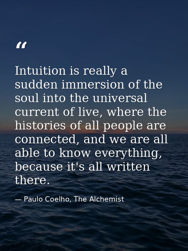 Intuition is really a sudden immersion of the soul into the universal current of live, where the histories of all people — Paulo Coelho, The Alchemist
