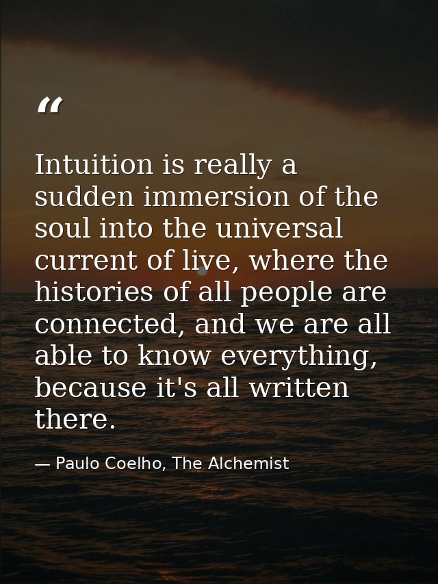 Intuition is really a sudden immersion of the soul into the universal current of live, where the histories of all people — Paulo Coelho, The Alchemist