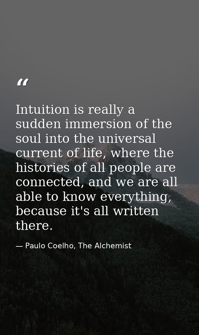 Intuition is really a sudden immersion of the soul into the universal current of life, where the histories of all people — Paulo Coelho, The Alchemist