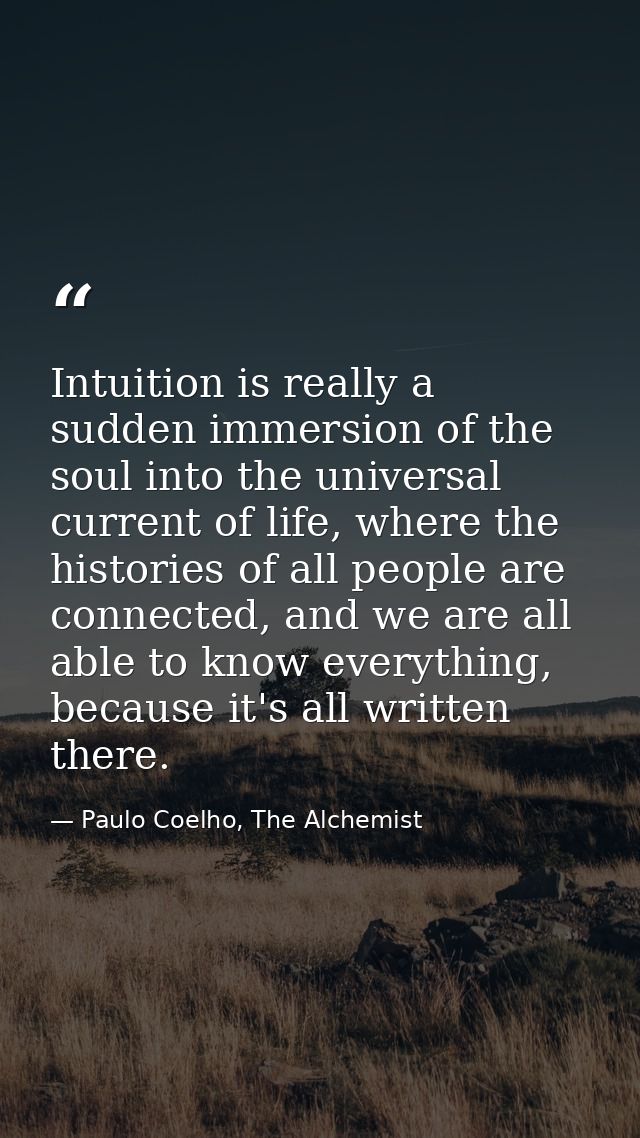 Intuition is really a sudden immersion of the soul into the universal current of life, where the histories of all people — Paulo Coelho, The Alchemist
