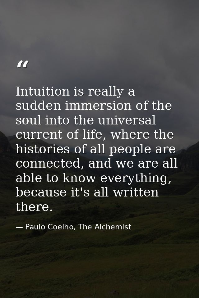 Intuition is really a sudden immersion of the soul into the universal current of life, where the histories of all people — Paulo Coelho, The Alchemist