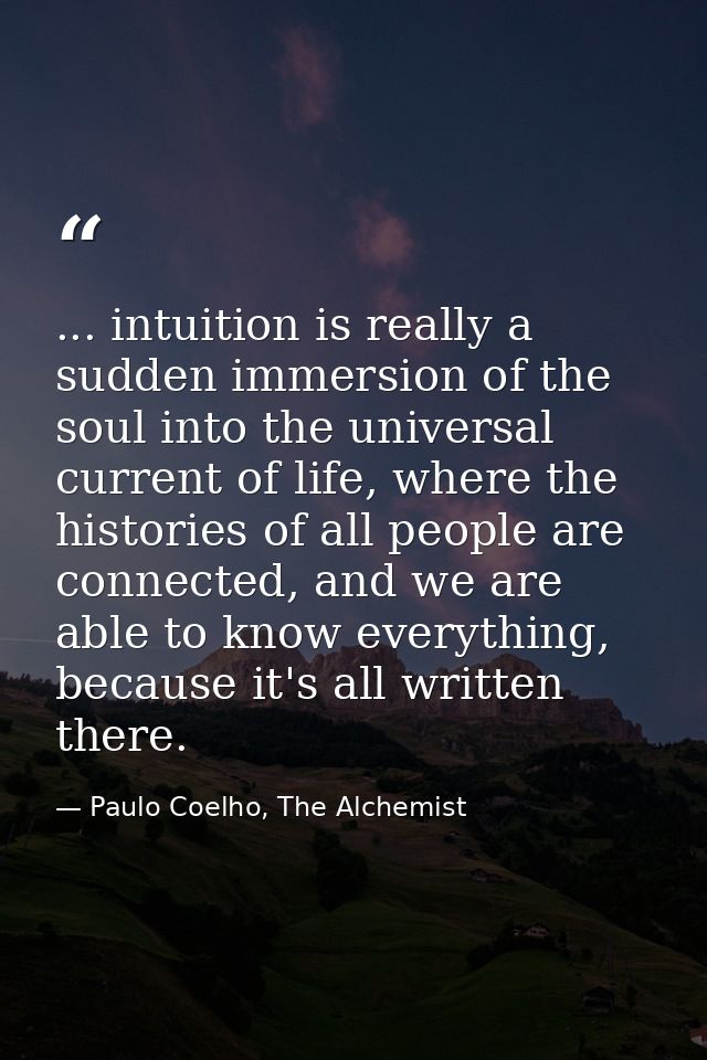 ... intuition is really a sudden immersion of the soul into the universal current of life, where the histories of all pe — Paulo Coelho, The Alchemist