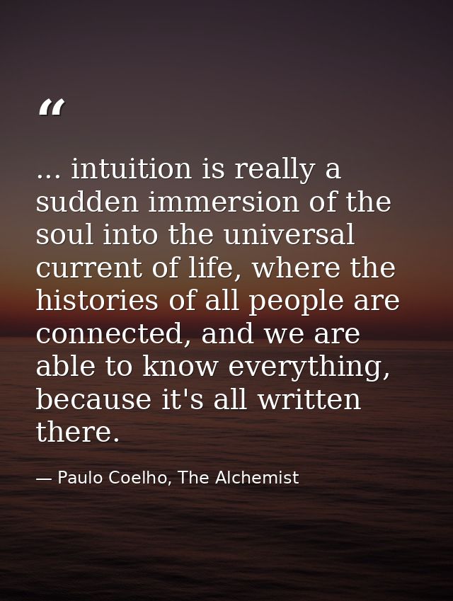 ... intuition is really a sudden immersion of the soul into the universal current of life, where the histories of all pe — Paulo Coelho, The Alchemist