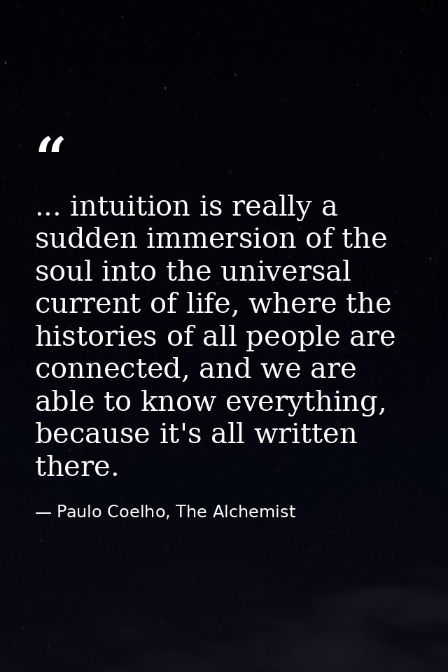 ... intuition is really a sudden immersion of the soul into the universal current of life, where the histories of all pe — Paulo Coelho, The Alchemist