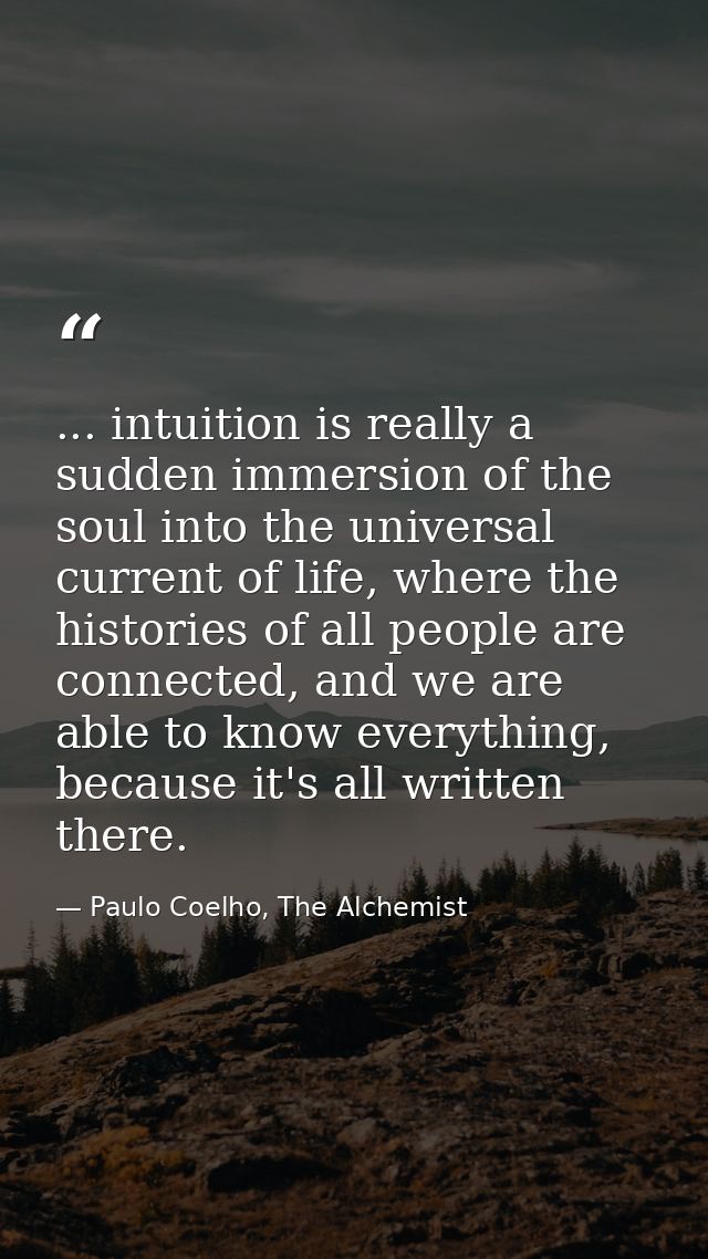 ... intuition is really a sudden immersion of the soul into the universal current of life, where the histories of all pe — Paulo Coelho, The Alchemist