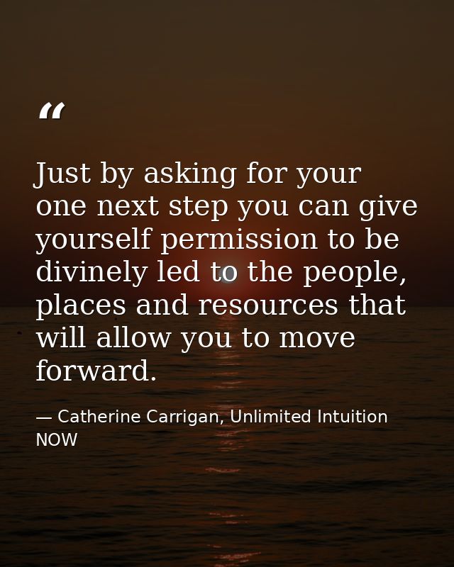 Just by asking for your one next step you can give yourself permission to be divinely led to the people, places and reso — Catherine Carrigan, Unlimited Intuition NOW