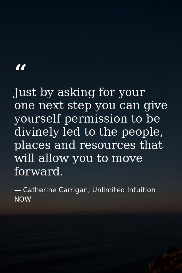 Just by asking for your one next step you can give yourself permission to be divinely led to the people, places and reso — Catherine Carrigan, Unlimited Intuition NOW