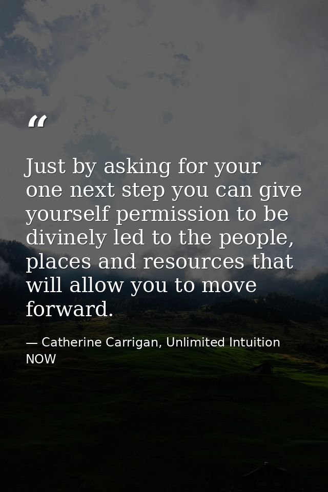 Just by asking for your one next step you can give yourself permission to be divinely led to the people, places and reso — Catherine Carrigan, Unlimited Intuition NOW