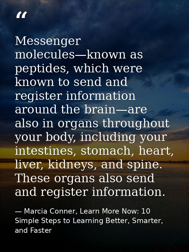 Messenger molecules—known as peptides, which were known to send and register information around the brain—are also in or — Marcia Conner, Learn More Now: 10 Simple Steps to Learning Better, Smarter, and Faster
