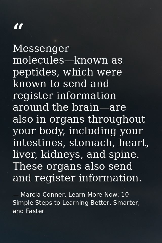 Messenger molecules—known as peptides, which were known to send and register information around the brain—are also in or — Marcia Conner, Learn More Now: 10 Simple Steps to Learning Better, Smarter, and Faster