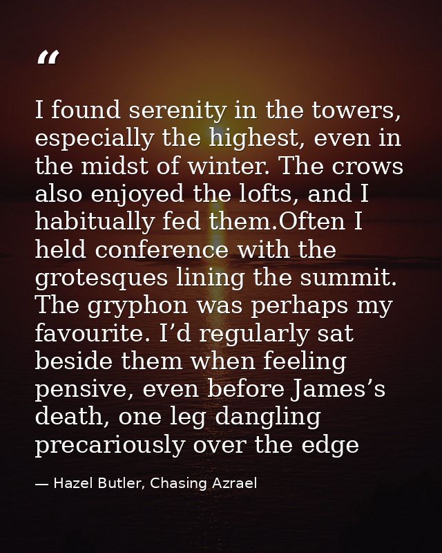 I found serenity in the towers, especially the highest, even in the midst of winter. The crows also enjoyed the lofts, a — Hazel Butler, Chasing Azrael