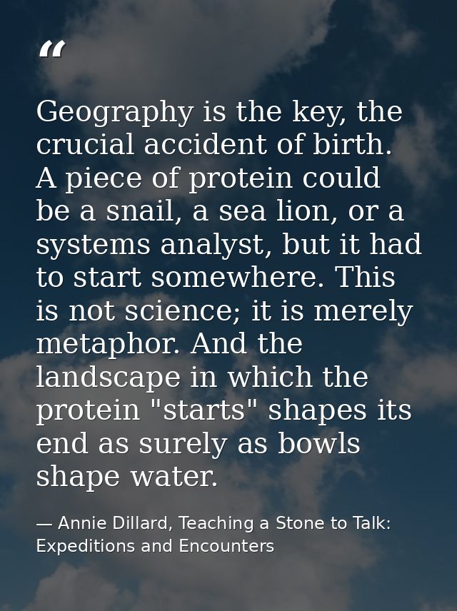 Geography is the key, the crucial accident of birth. A piece of protein could be a snail, a sea lion, or a systems analy — Annie Dillard, Teaching a Stone to Talk: Expeditions and Encounters