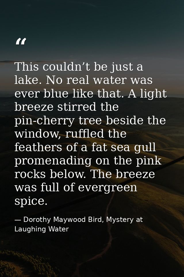 This couldn’t be just a lake. No real water was ever blue like that. A light breeze stirred the pin-cherry tree beside t — Dorothy Maywood Bird, Mystery at Laughing Water