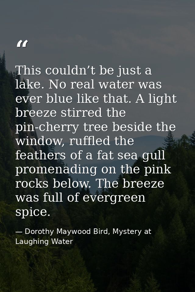 This couldn’t be just a lake. No real water was ever blue like that. A light breeze stirred the pin-cherry tree beside t — Dorothy Maywood Bird, Mystery at Laughing Water