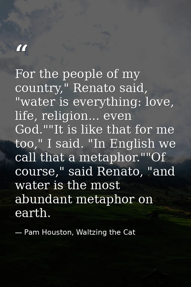 For the people of my country," Renato said, "water is everything: love, life, religion... even God.""It is like that for — Pam Houston, Waltzing the Cat