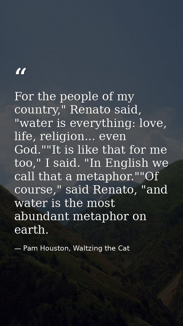 For the people of my country," Renato said, "water is everything: love, life, religion... even God.""It is like that for — Pam Houston, Waltzing the Cat