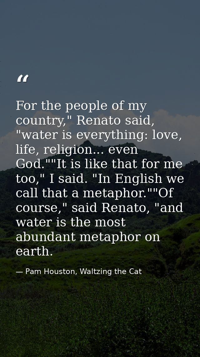 For the people of my country," Renato said, "water is everything: love, life, religion... even God.""It is like that for — Pam Houston, Waltzing the Cat