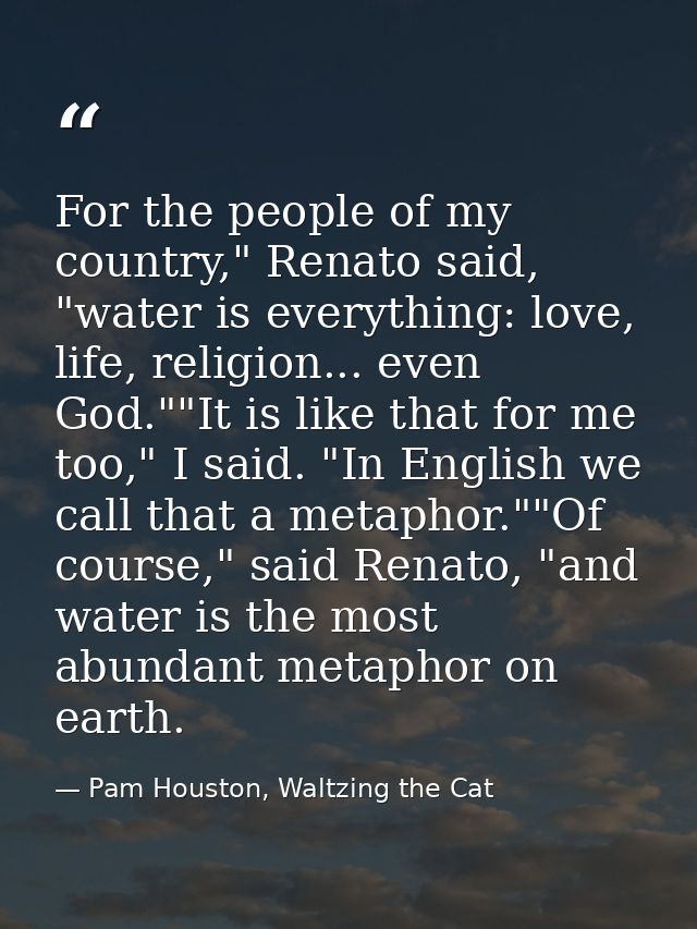 For the people of my country," Renato said, "water is everything: love, life, religion... even God.""It is like that for — Pam Houston, Waltzing the Cat