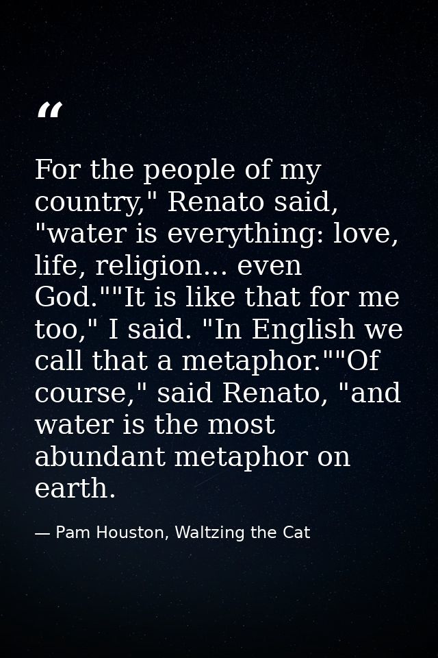 For the people of my country," Renato said, "water is everything: love, life, religion... even God.""It is like that for — Pam Houston, Waltzing the Cat
