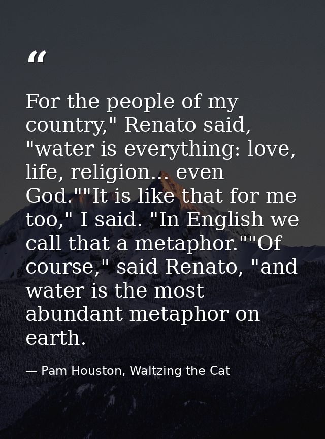 For the people of my country," Renato said, "water is everything: love, life, religion... even God.""It is like that for — Pam Houston, Waltzing the Cat