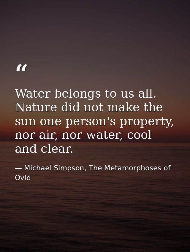 Water belongs to us all. Nature did not make the sun one person's property, nor air, nor water, cool and clear. — Michael Simpson, The Metamorphoses of Ovid