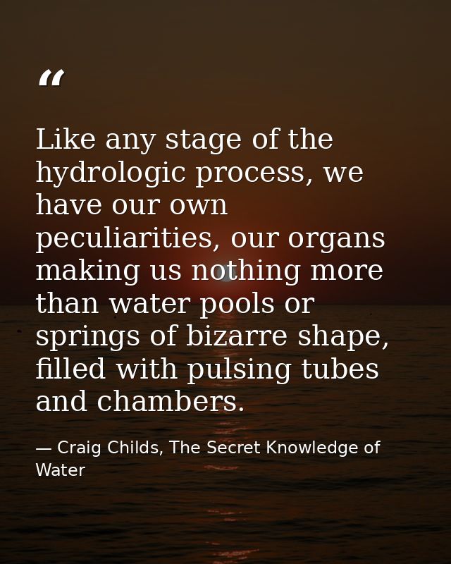 Like any stage of the hydrologic process, we have our own peculiarities, our organs making us nothing more than water po — Craig Childs, The Secret Knowledge of Water