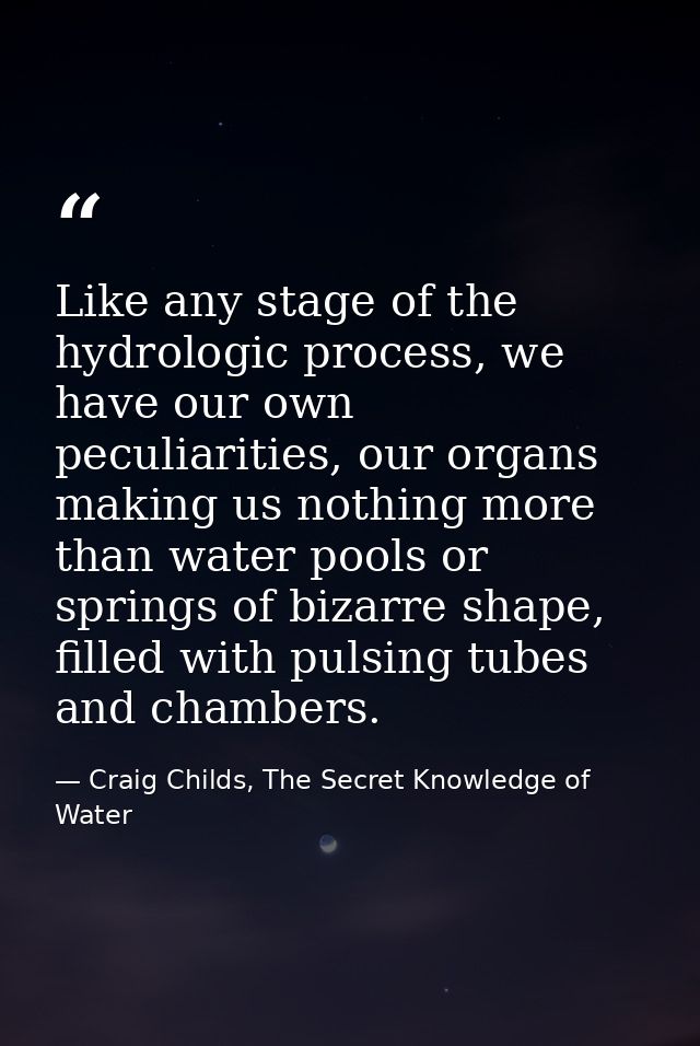 Like any stage of the hydrologic process, we have our own peculiarities, our organs making us nothing more than water po — Craig Childs, The Secret Knowledge of Water