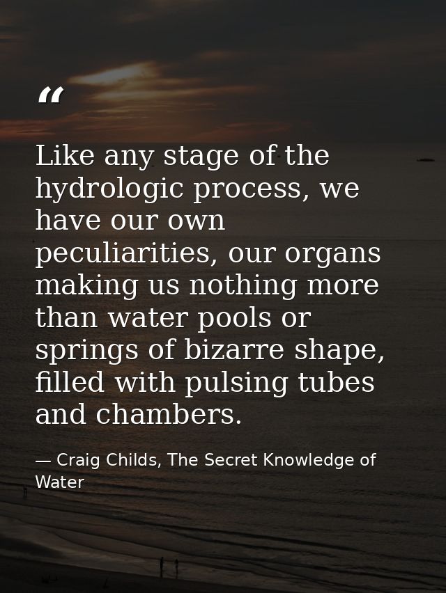 Like any stage of the hydrologic process, we have our own peculiarities, our organs making us nothing more than water po — Craig Childs, The Secret Knowledge of Water
