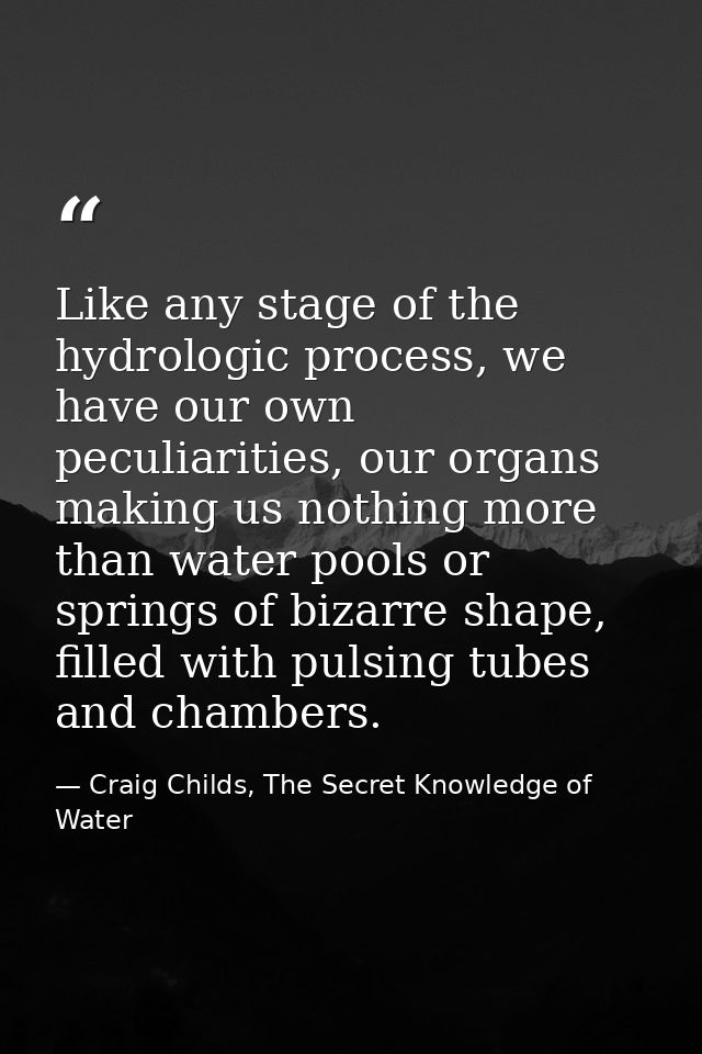 Like any stage of the hydrologic process, we have our own peculiarities, our organs making us nothing more than water po — Craig Childs, The Secret Knowledge of Water