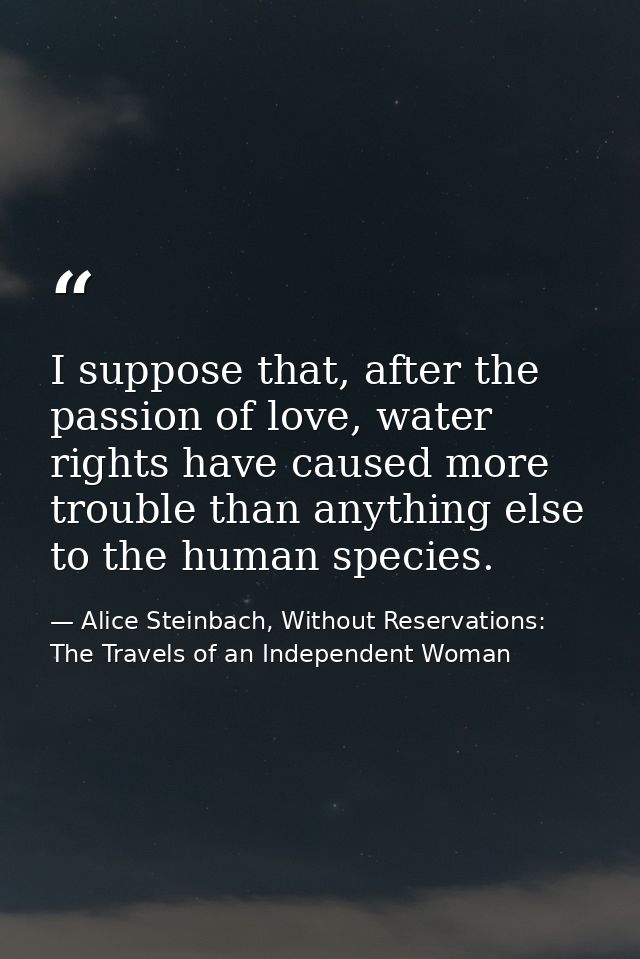 I suppose that, after the passion of love, water rights have caused more trouble than anything else to the human species — Alice Steinbach, Without Reservations: The Travels of an Independent Woman