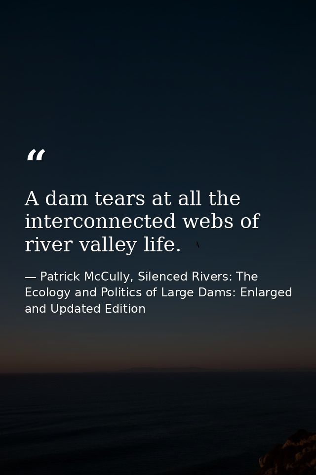 A dam tears at all the interconnected webs of river valley life. — Patrick McCully, Silenced Rivers: The Ecology and Politics of Large Dams: Enlarged and Updated Edition