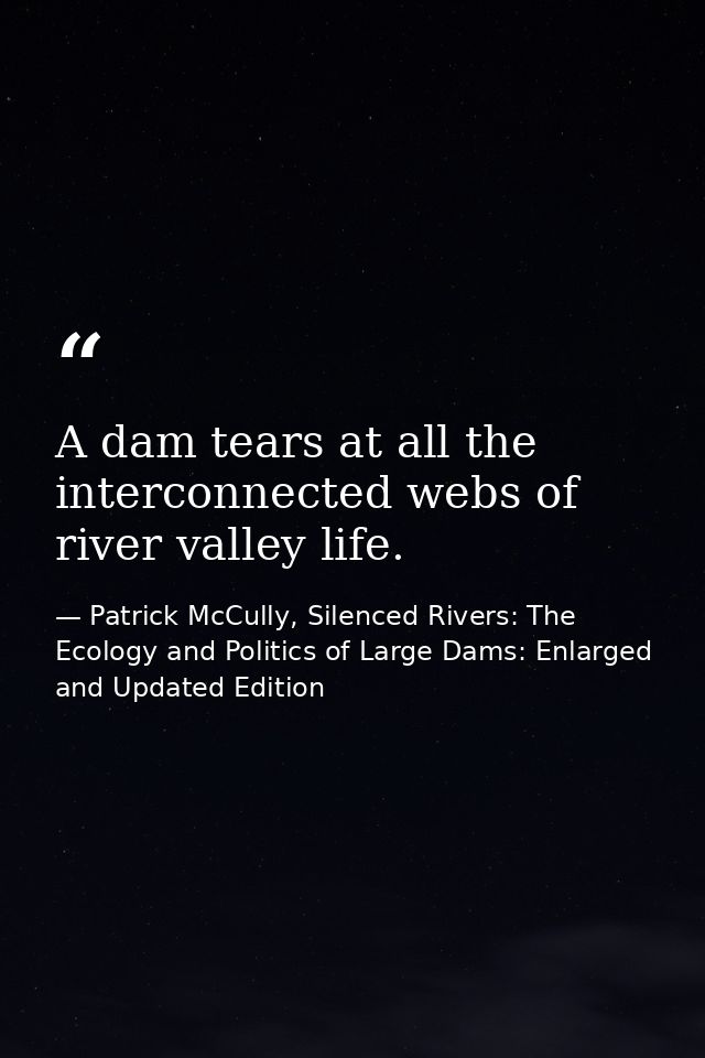 A dam tears at all the interconnected webs of river valley life. — Patrick McCully, Silenced Rivers: The Ecology and Politics of Large Dams: Enlarged and Updated Edition