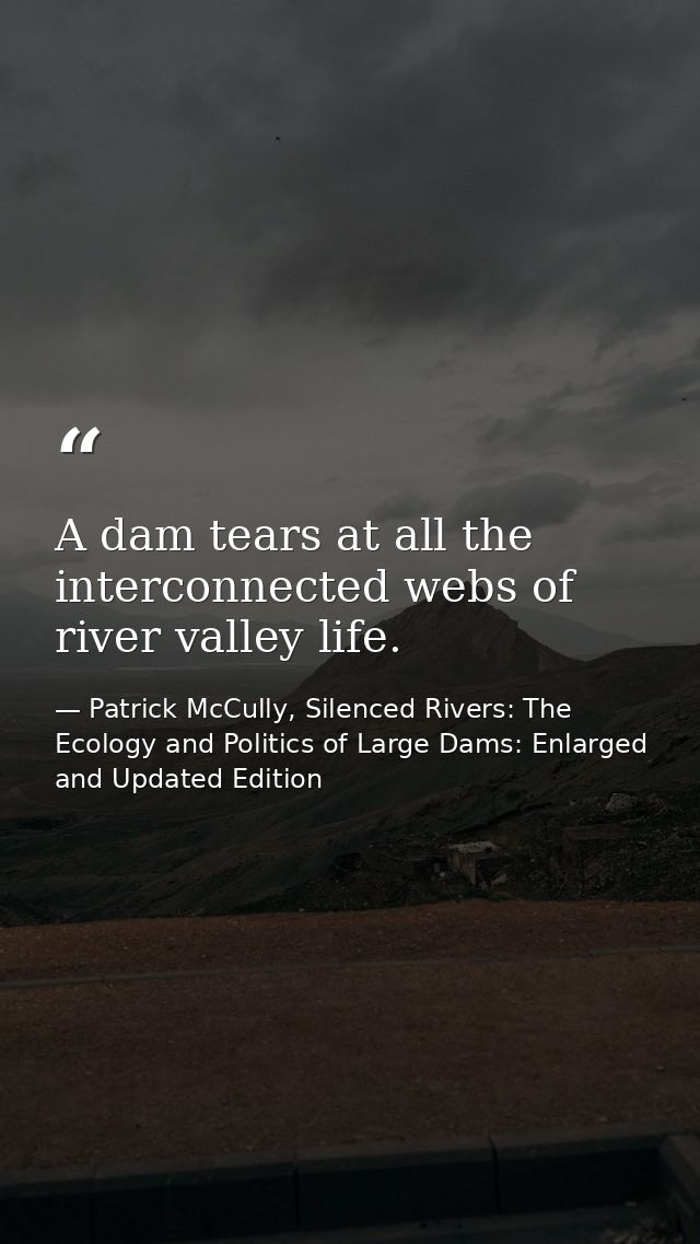 A dam tears at all the interconnected webs of river valley life. — Patrick McCully, Silenced Rivers: The Ecology and Politics of Large Dams: Enlarged and Updated Edition