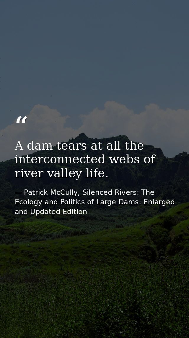 A dam tears at all the interconnected webs of river valley life. — Patrick McCully, Silenced Rivers: The Ecology and Politics of Large Dams: Enlarged and Updated Edition