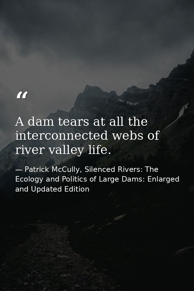 A dam tears at all the interconnected webs of river valley life. — Patrick McCully, Silenced Rivers: The Ecology and Politics of Large Dams: Enlarged and Updated Edition
