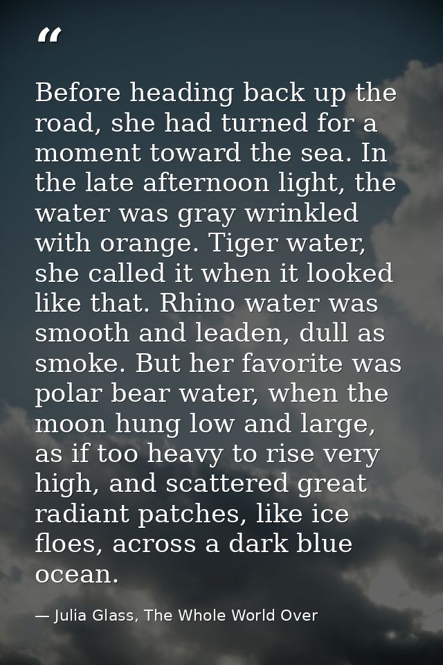 Before heading back up the road, she had turned for a moment toward the sea. In the late afternoon light, the water was  — Julia Glass, The Whole World Over