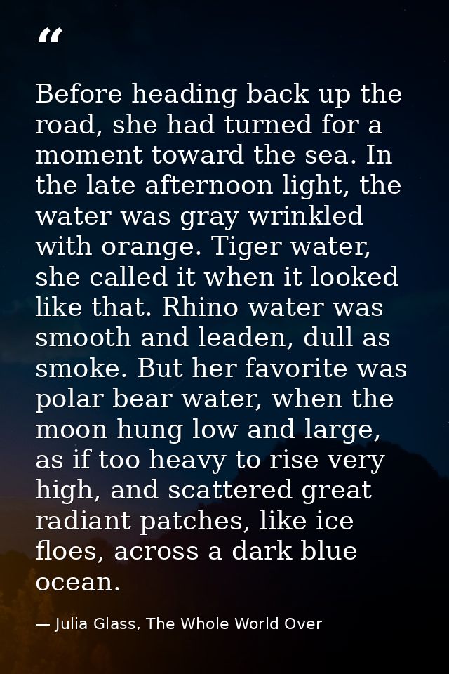Before heading back up the road, she had turned for a moment toward the sea. In the late afternoon light, the water was  — Julia Glass, The Whole World Over