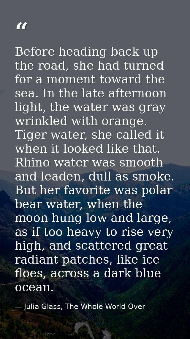 Before heading back up the road, she had turned for a moment toward the sea. In the late afternoon light, the water was  — Julia Glass, The Whole World Over